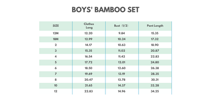 Dinosaur Bamboo Pajama Set